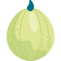 Handmade Green Pumpkin Icon Vector