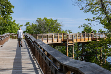 A man walking on a boardwalk at the tree tops on a sunny day. 
