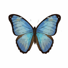 Obraz premium A colorful illustration of a butterfly, with its vibrant blue wings.