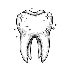 Tooth with sparkle in sketch style, surrounded by shining stars, hand-drawn illustration. Dental health, oral hygiene, bright smile concept, for dentistry ads, toothpaste packaging, health blogs