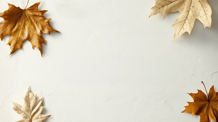 Autumn leaves arranged on light textured background.