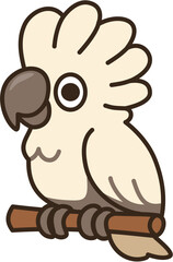 Umbrella Cockatoo 