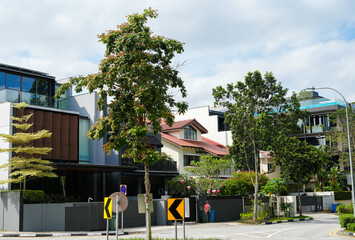 suburban residential house with greenery and urban background