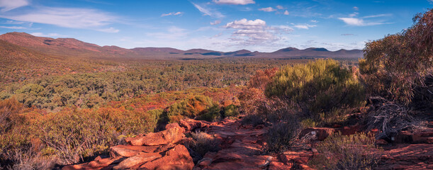 Wilpena Pound Panorama