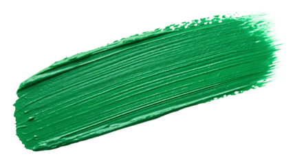 Isolated Green Brush Stroke Texture on White or Transparent Background