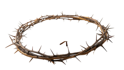 Antique Crown of Thorns and Holy Bible Depicting Christian Resurrection