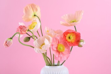 Beautiful poppy flowers in vase on pink background, closeup