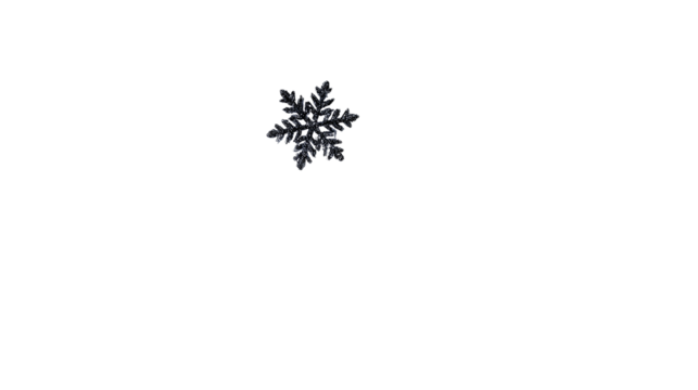 Intricate Snowflake on Black Background Winter Nature Macro Photography