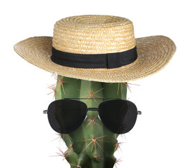 Cactus with sunglasses and hat against white background