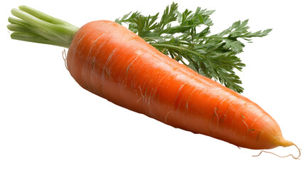 Fresh and Vibrant Single Carrot with Green Leaves on White Background