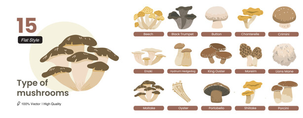 types of mushrooms © Danfuadhy