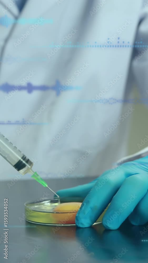 Poster animation of data processing over caucasian scientist taking samples of eggs