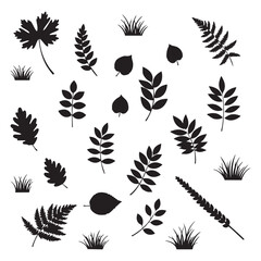 Collection of black plant silhouettes isolated on white background