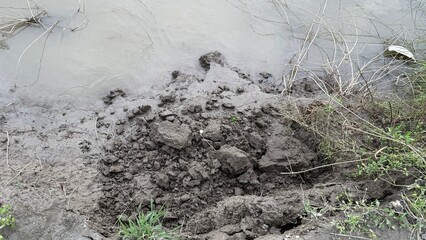 Gray water meets muddy ground near green vegetation in a natural land formation