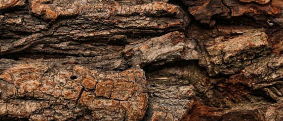 Closeup view of brown wood bark as background