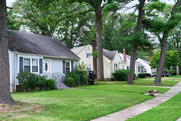Tree lined street with row of bungalow type houses