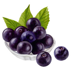 Fototapeta premium Elderberry berries and leaves for medicine concept. Fresh blueberries in a bowl with green leaves.