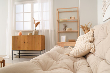 Stylish cushions on sofa in living room