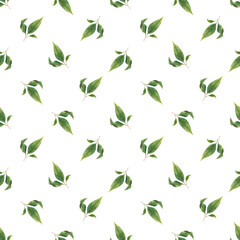 Watercolor seamless pattern with green branches. Delicate leaves for background