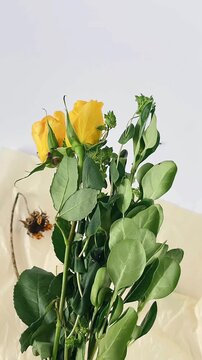 ellow flower bouquet, beautiful floral arrangement, cheerful flower display, vibrant floral colors, charming woman pose, lovely flower composition, fresh bouquet details, serene outdoor moment, elegan