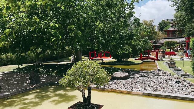 view of japanese garden, serene garden landscape, traditional japanese design, tranquil garden aesthetics, beautiful zen garden, koi pond scenery, cherry blossom trees, peaceful outdoor space, charmin