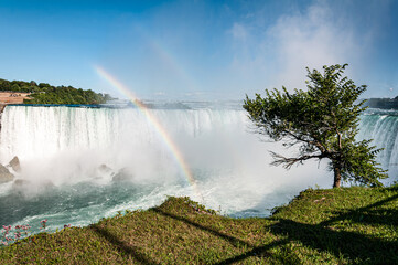 View of Niagara Falls with a prominent rainbow and a tree in the foreground. Captures the natural beauty, power, and misty atmosphere of the iconic waterfall.
