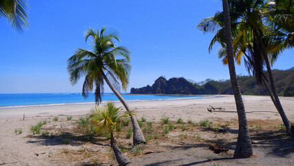 Fototapeta premium Tranquil Tropical Beach in Costa Rica with Palm Trees and Rocky Cliffs