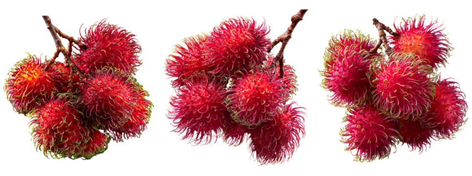 Vibrant Rambutan Fruit Clusters with Red Skin and Green Tufts