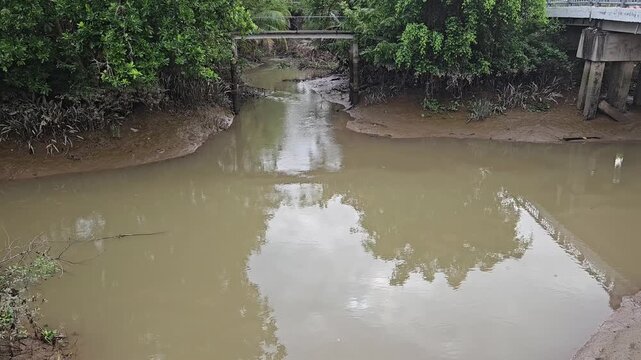 A muddy river or canal, flanked by lush green vegetation, flows beneath two bridges, suggesting a waterway intersection.