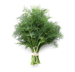Bunch of fresh green dill on white background