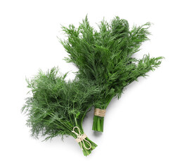 Bunches of fresh green dill on white background