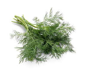 Fresh green dill on white background