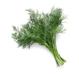 Fresh green dill on white background