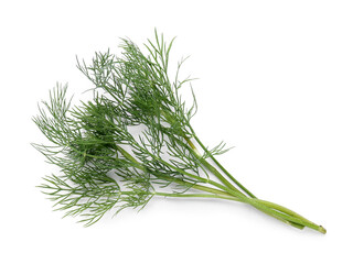 Fresh green dill on white background