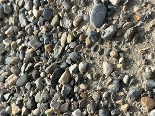 Scattered Gravel and Small Rocks on Dirt Path