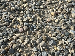 Outdoor Stone Surface Featuring Natural Pebbles