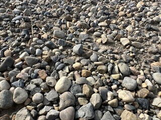 Assorted Pebbles and Stones on Ground Surface
