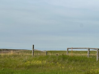 Farmland Hills with Fencing and Wide Horizon