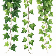 green leaves on white background