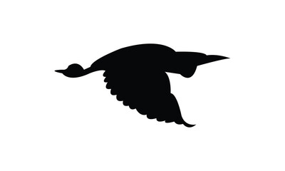 Flying American bittern bird Silhouette Design  And Vector Illustration. 