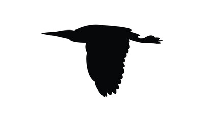 Flying American bittern bird Silhouette Design  And Vector Illustration. 