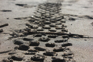 tire track on sand