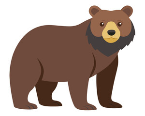 Fototapeta premium Brown bear standing and looking forward