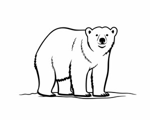 Fototapeta premium Simple black and white illustration of a standing polar bear