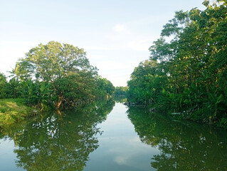 Fototapeta premium river view background photo