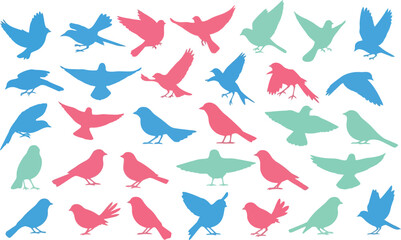 Colorful bird silhouettes in various poses on a white background