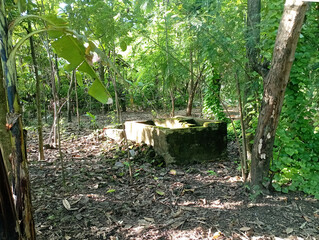 Abandoned Old Well and Pond