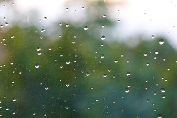 Numerous raindrops stream down the glass, creating a blurred background of green vegetation and a...