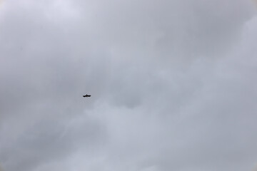 Clear grey sky with a lone bird soaring in the distance. A sense of freedom and vastness. Perfect for projects requiring a minimalist background or a theme of flight.