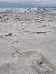 View of a sandy beach with seagull footprints, telling a story of recent morning activity.